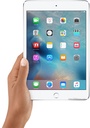 Apple iPad mini with Retina display Screen Replacement and Repairs