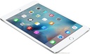 Apple iPad mini with Retina display Screen Replacement and Repairs