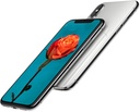 iPhone X Housing Replacement