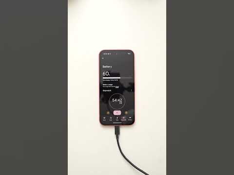 Original Google Pixel 23W Fast Charger