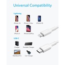 iPhone Charging Cable
