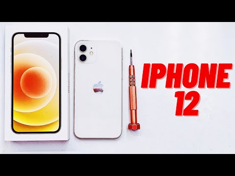 Apple iPhone 12 Screen Replacement