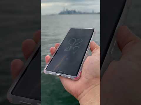 Google Pixel 7 Pro Clear Case