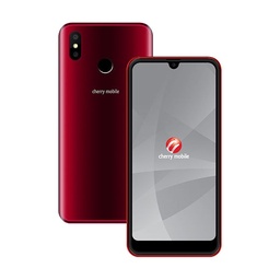 Cherry Mobile Y9