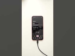 Original Google Pixel 23W Fast Charger