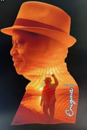 Customized Samsung Galaxy S25 Plus Covers