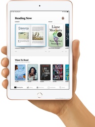 Apple iPad mini (2019) Screen Replacement and Repairs
